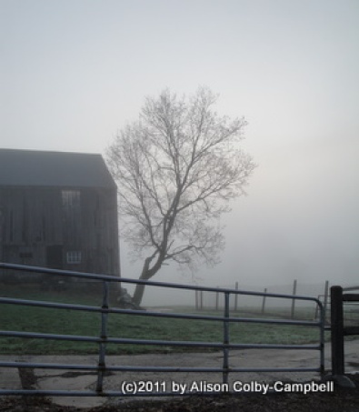 Fog on Barker Farm