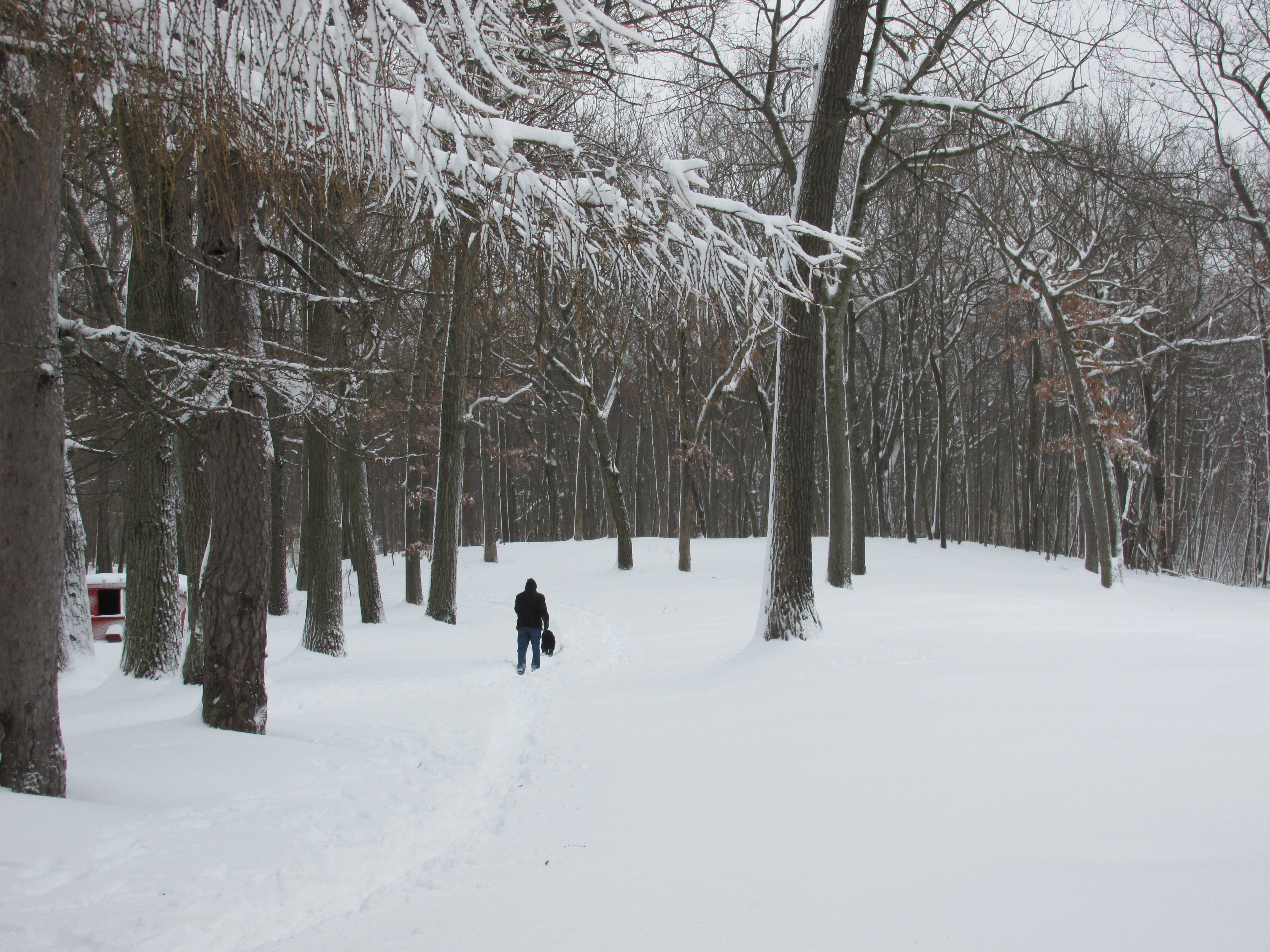 Light Grey Snow Fun Wintry Walk 